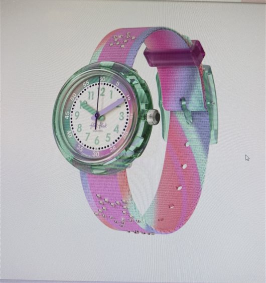 Reloj Flik Flak in Plástica ZFPNP183 - ZFPNP183